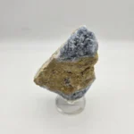 راف سلستین ابی 70041 - تصویر 2