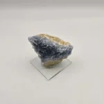 راف سلستین ابی